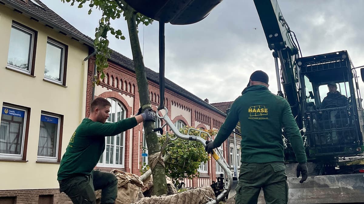 Company Image Slider