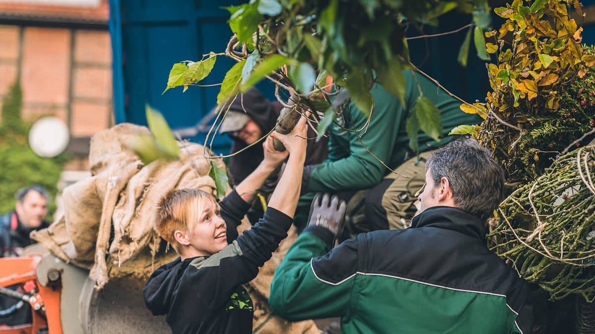 Company Image Slider